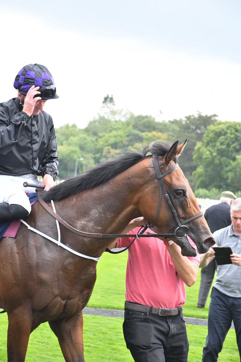 Red Earth trained by <a href="/fozzystack/">fozzystack</a> is a winner <a href="/NaasRacecourse/">Naas Racecourse</a> 23/7/25 <a href="/IrishRacing7/">Irish Racing 7</a>