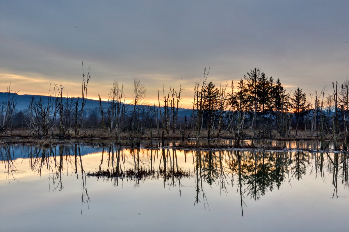 MarkBski's tweet image. Combining Old Wood Wednesday & Watery Wednesday into a single image.