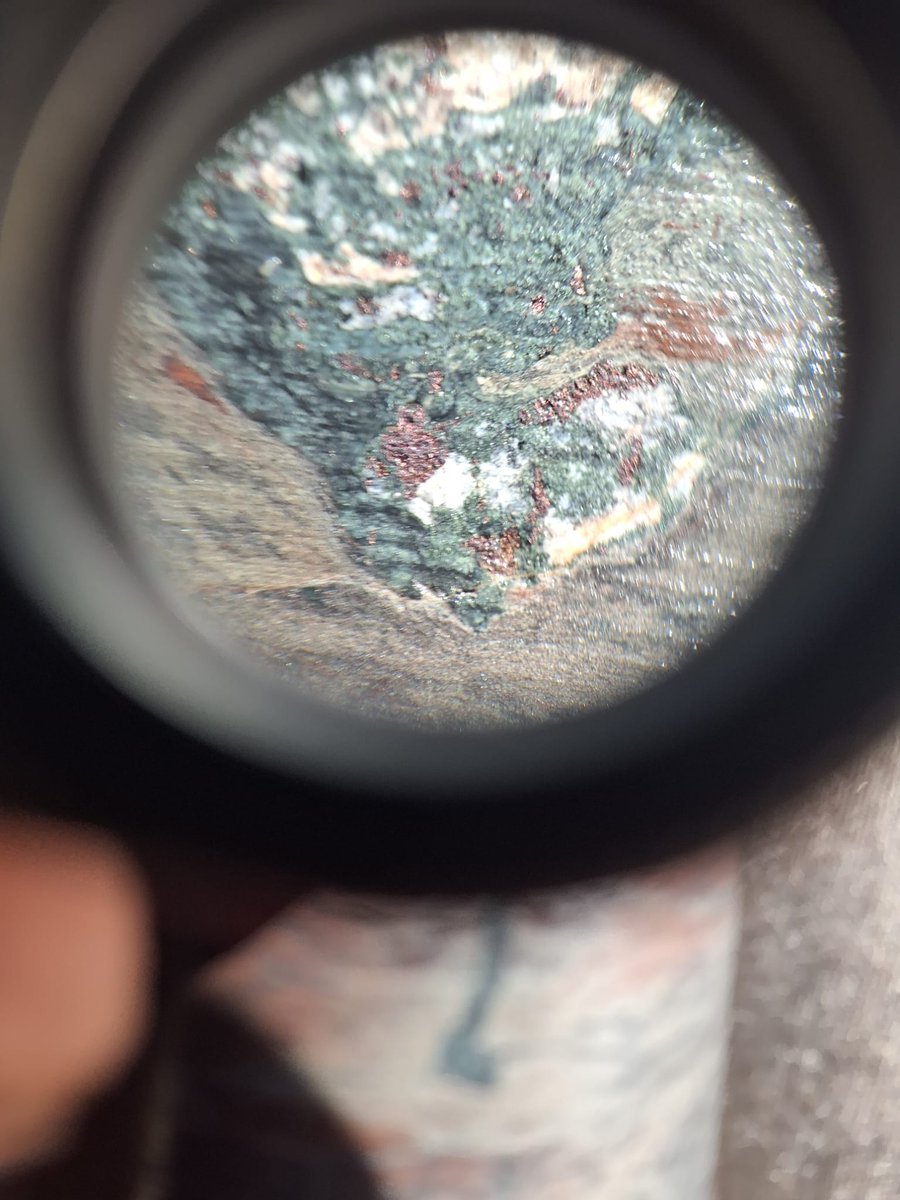 Hole #1 in a material step out south of Ivanhoe's CP 15-09 to test the outer margin extent of this system and we are seeing consistent mineralization and continuity. Bornite and Chalcocite in the sediments ending in volcanics and Native Copper.