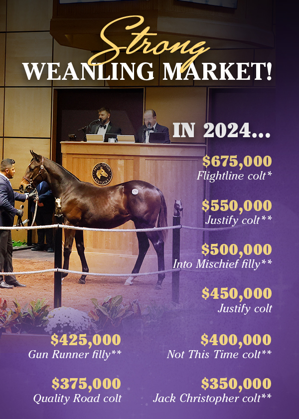 FasigTiptonCo's tweet image. 💎 Nominations are OPEN for The November Sale at Fasig-Tipton!
Learn more at november.fasigtipton.com. #FasigNovember