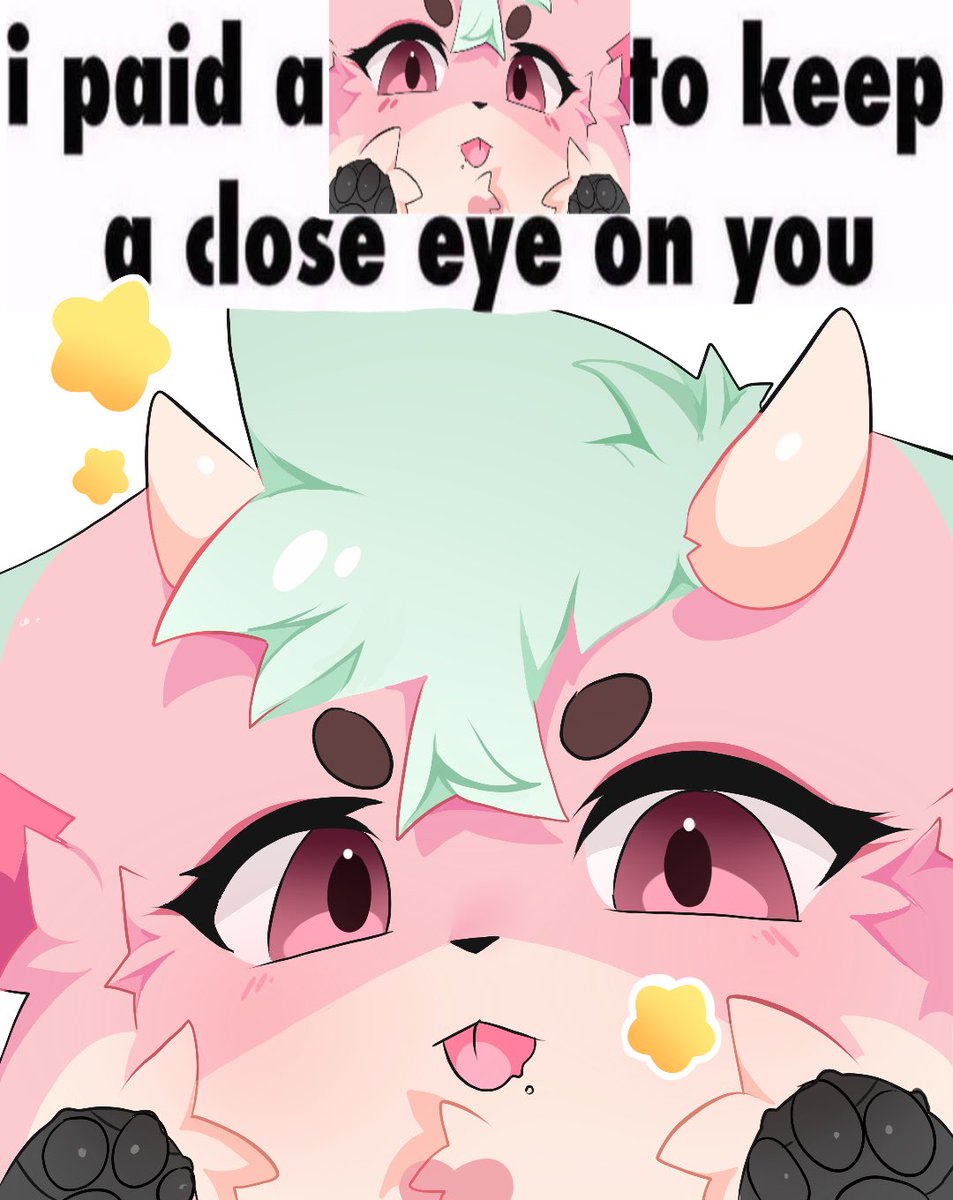 AflictedPaw's tweet image. 