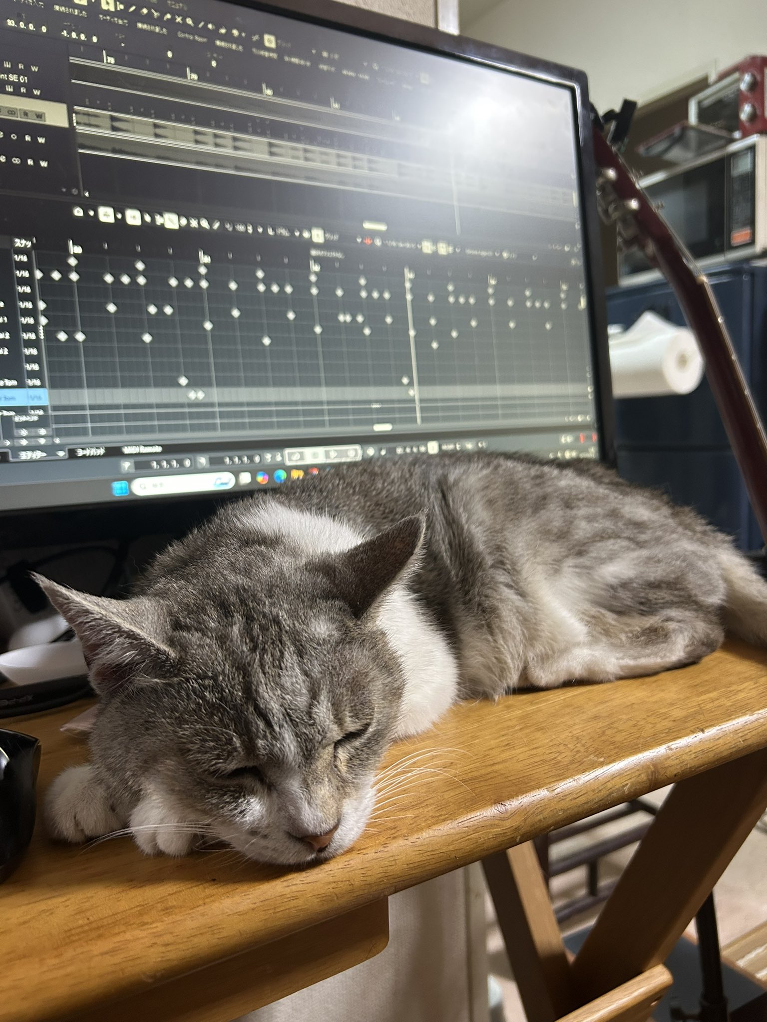 猫好き注意のうたうたい飛知和恵次ex.Lily on X: 