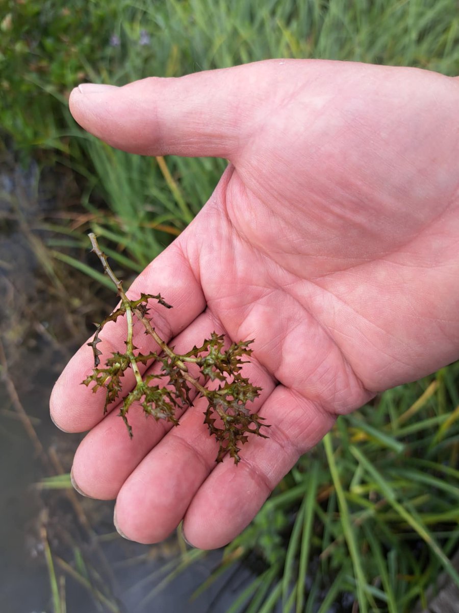 Andrew Cleave tweet media