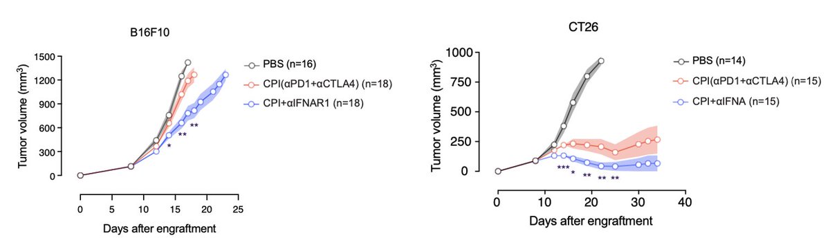 Aaron Ring tweet media