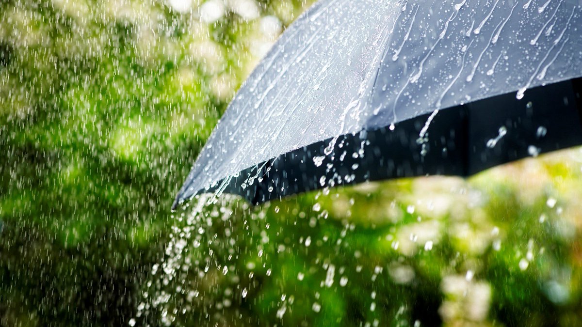 airnewsalerts's tweet image. #Uttarakhand: Yellow alert for heavy rainfall at isolated places in th next 24 hours
๐๐๐๐ ๐
๐ฎ๐ฅ๐ฅ ๐๐ญ๐จ๐ซ๐ฒ๐:
newsonair.gov.in/traffic-on-jamโฆ