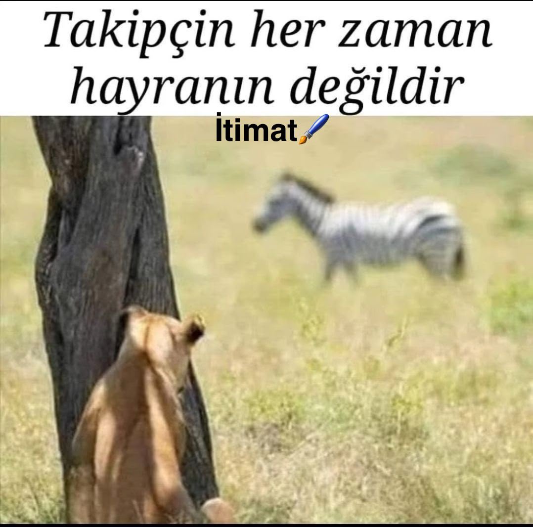 İtimat (@timat13491820) on Twitter photo 