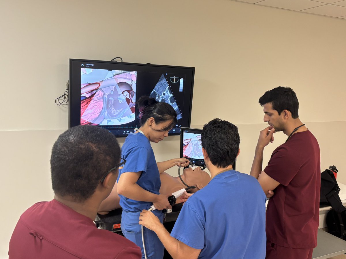 UCSDCardFellows's tweet image. The learning never stops. TEE simulation with #Echofirst pro @EKDuranMD and @UCSDCardiology first year fellows Yusi Gong, David Timmer and Saurabh Sudesh!
