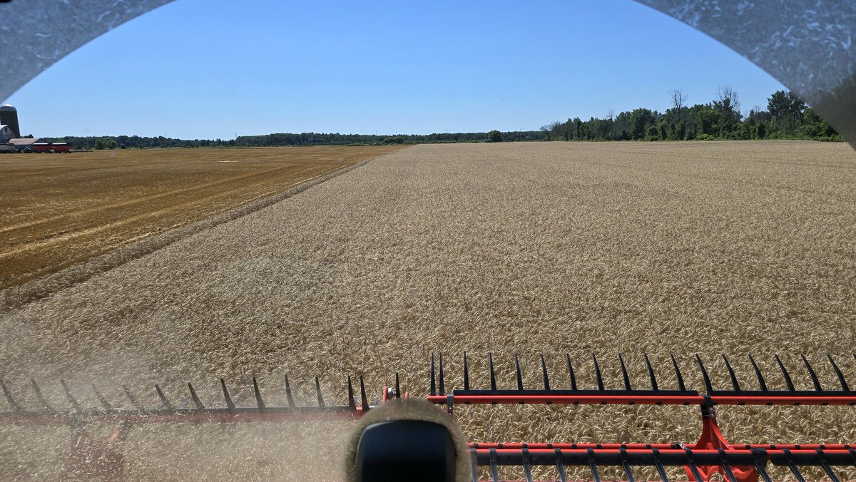 Warren Schneckenburger 🇨🇦 tweet media