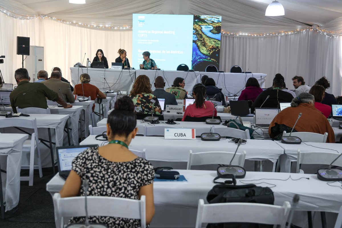 RamsarConv's tweet image. Regional meetings took place today at the #WetlandsCOP15, as Contracting Parties aligned priorities and prepared for the days ahead. The opening ceremony is scheduled for tomorrow, officially marking the start of #COP15Zimbabwe.
#RamsarCOP15 #WetlandsForOurCommonFuture