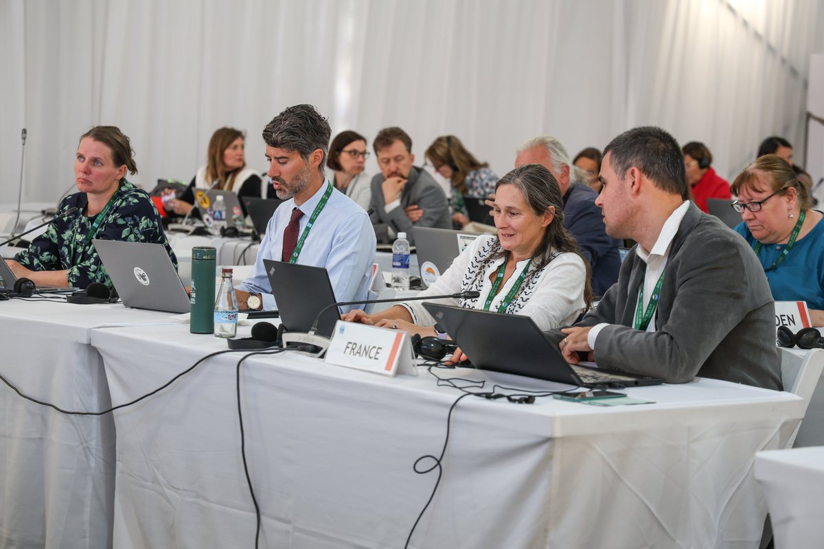 RamsarConv's tweet image. Regional meetings took place today at the #WetlandsCOP15, as Contracting Parties aligned priorities and prepared for the days ahead. The opening ceremony is scheduled for tomorrow, officially marking the start of #COP15Zimbabwe.
#RamsarCOP15 #WetlandsForOurCommonFuture