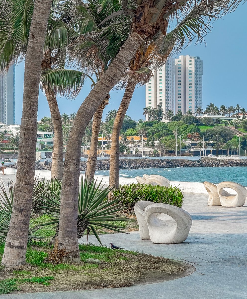 AliciaJ86958882's tweet image. Veracruz❤️❤️❤️
Rinconcito donde hacen su nido las olas del mar
Veracruz 🌹🌹🌹
Pedacito de patria que sabe amar y cantar ❤️❤️❤️
😘😘😘😘😘😍😍😍😍