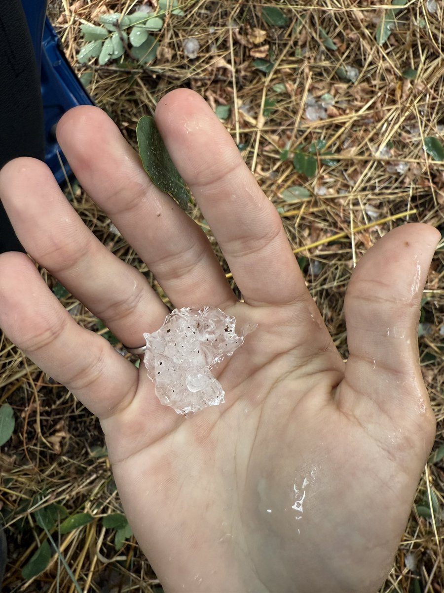 Stormyalert (@stormyalert) on Twitter photo Granizo de buen tamaño en Alella, Barcelona ⛈️
<a href="/meteocat/">Meteocat</a> <a href="/Djpuco/">Tomas Pucik</a> <a href="/PavanFederico00/">Federico Pavan</a> <a href="/SoniaPapell/">Sònia Papell</a> <a href="/P4Estacions/">Projecte 4 Estacions</a> <a href="/SeguimlaMeteo/">Seguim la Méteo</a> <a href="/meteopolita/">Carles Nerín Faydella</a> <a href="/MeteoMauri/">MeteoMauri</a> <a href="/alexmegapc/">Àlex Van der Laan</a> <a href="/AEMET_SINOBAS/">SINOBAS</a> Granizo de buen tamaño en Alella, Barcelona ⛈️
<a href="/meteocat/">Meteocat</a> <a href="/Djpuco/">Tomas Pucik</a> <a href="/PavanFederico00/">Federico Pavan</a> <a href="/SoniaPapell/">Sònia Papell</a> <a href="/P4Estacions/">Projecte 4 Estacions</a> <a href="/SeguimlaMeteo/">Seguim la Méteo</a> <a href="/meteopolita/">Carles Nerín Faydella</a> <a href="/MeteoMauri/">MeteoMauri</a> <a href="/alexmegapc/">Àlex Van der Laan</a> <a href="/AEMET_SINOBAS/">SINOBAS</a>