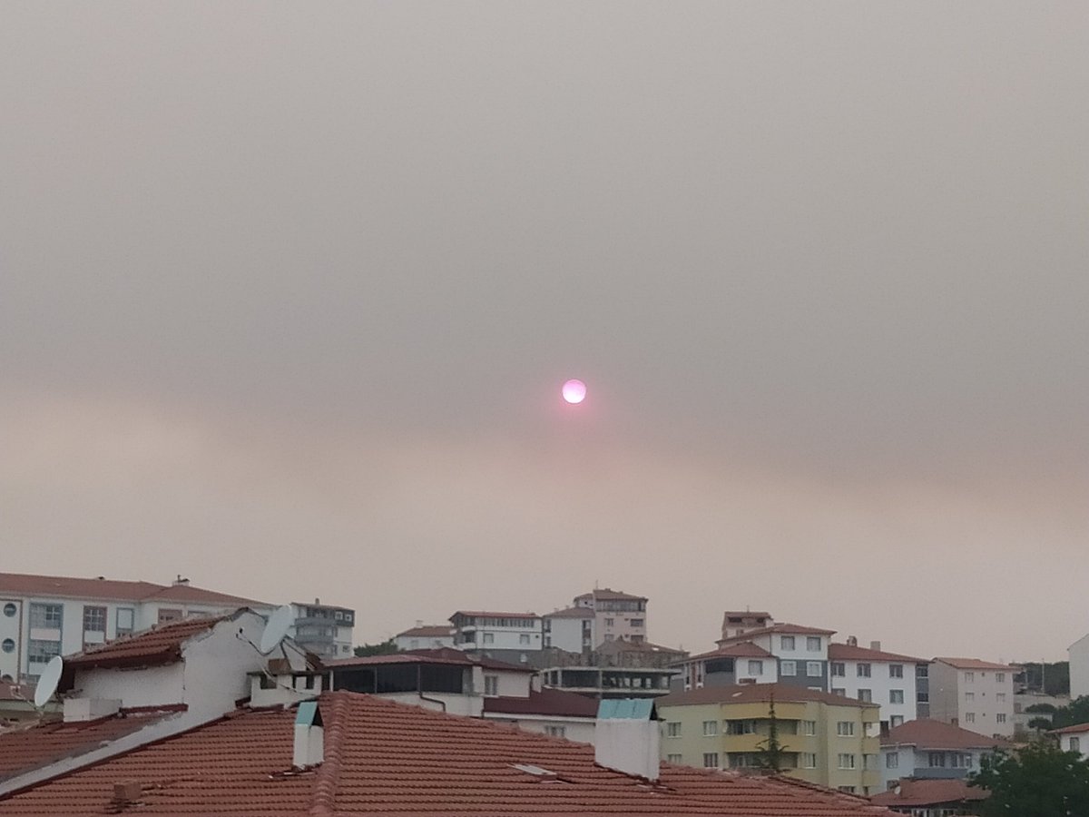 Buna sebep olanların iki cihanda ciğerleri yansın, bir içim suya küçük bir gölgeye muhtaç olsun.
#BilecikYanıyor

#PolisHaberBekliyor #deprem
#MattiaAhmetMinguzzi alkollü