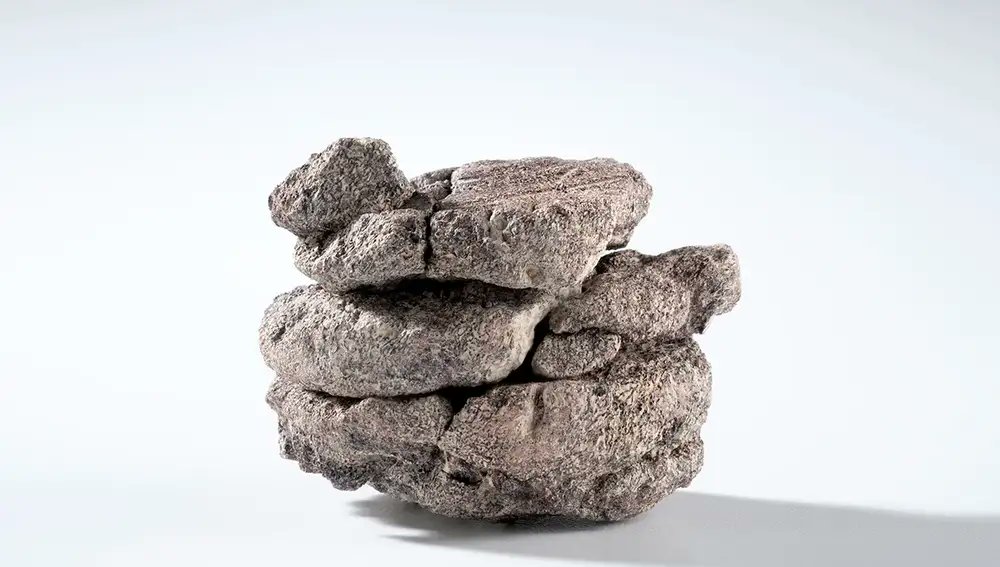 FDinosaurios's tweet image. Encuentran el hueso de un dinosaurio de la manera más sorprendente: en el parking de un museo (@larazon_es @PopSci)
Un hallazgo inesperado ha sacudido al Museo de Naturaleza y Ciencia de Denver, revelando un secreto milenario bajo su propio aparcamiento.
n9.cl/rgmrz