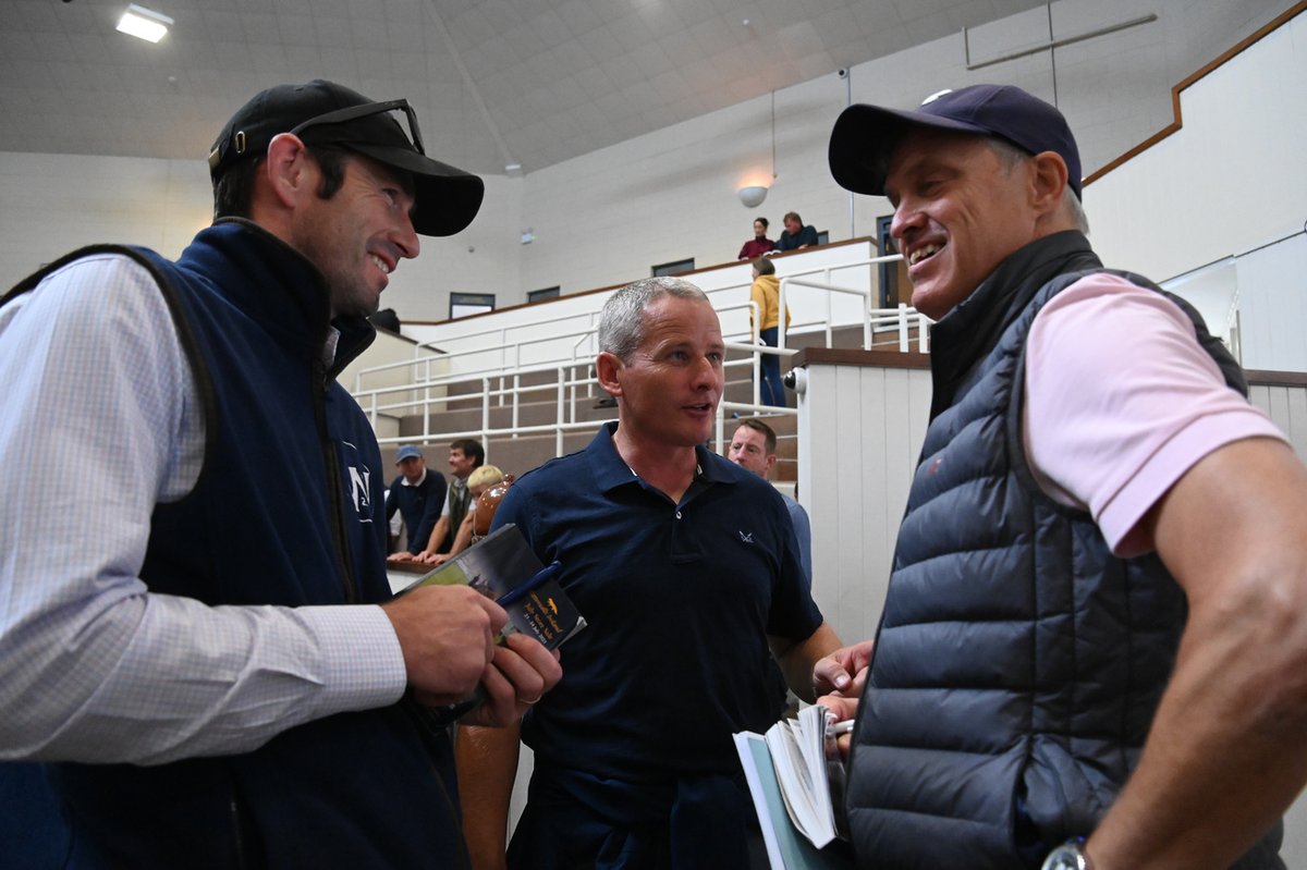 Eoin McDonagh <a href="/Shanaville_Stb/">Eoin McDonagh</a> offered a son of Feels Like Dancing, who was catalogued at the Derby Sale but missed his engagement earlier this summer.

Returning at the July Store Sale, <a href="/TMBloodstock/">TomMaloneBloodstock</a> purchased him on behalf of Will Biddick for €35,000.

#TattsIreJuly