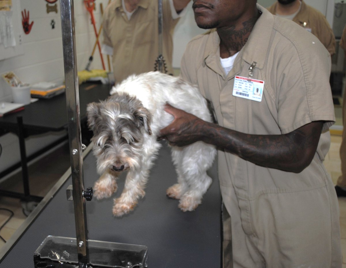 distevhass31's tweet image. Group 46 - Grooming with Ms. Valerie @GA_Corrections @GAFirstLady @CLALeadership @jeffbreedlove1 @Recovery_GC4R @endthewhisper @JellyRoll615