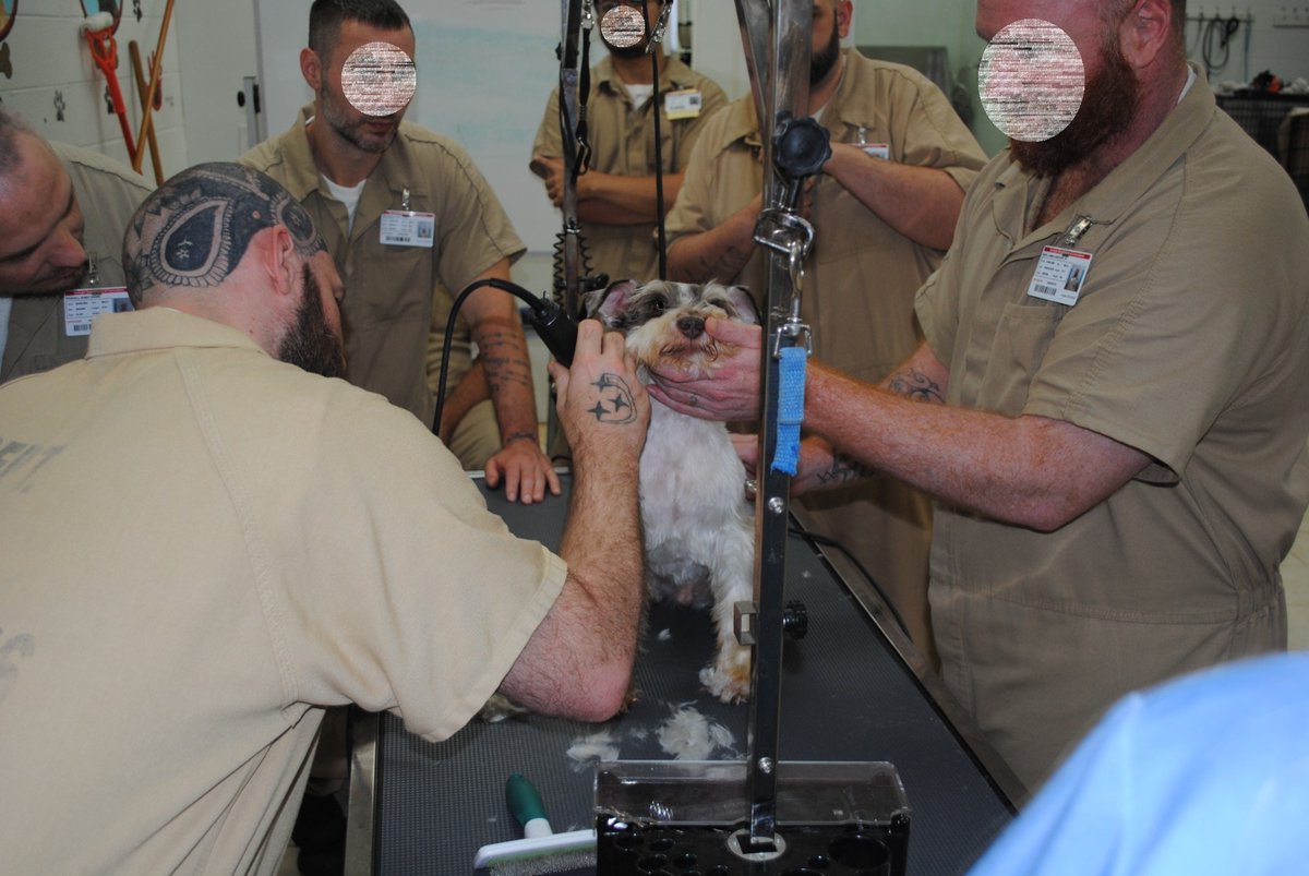 distevhass31's tweet image. Group 46 - Grooming with Ms. Valerie @GA_Corrections @GAFirstLady @CLALeadership @jeffbreedlove1 @Recovery_GC4R @endthewhisper @JellyRoll615