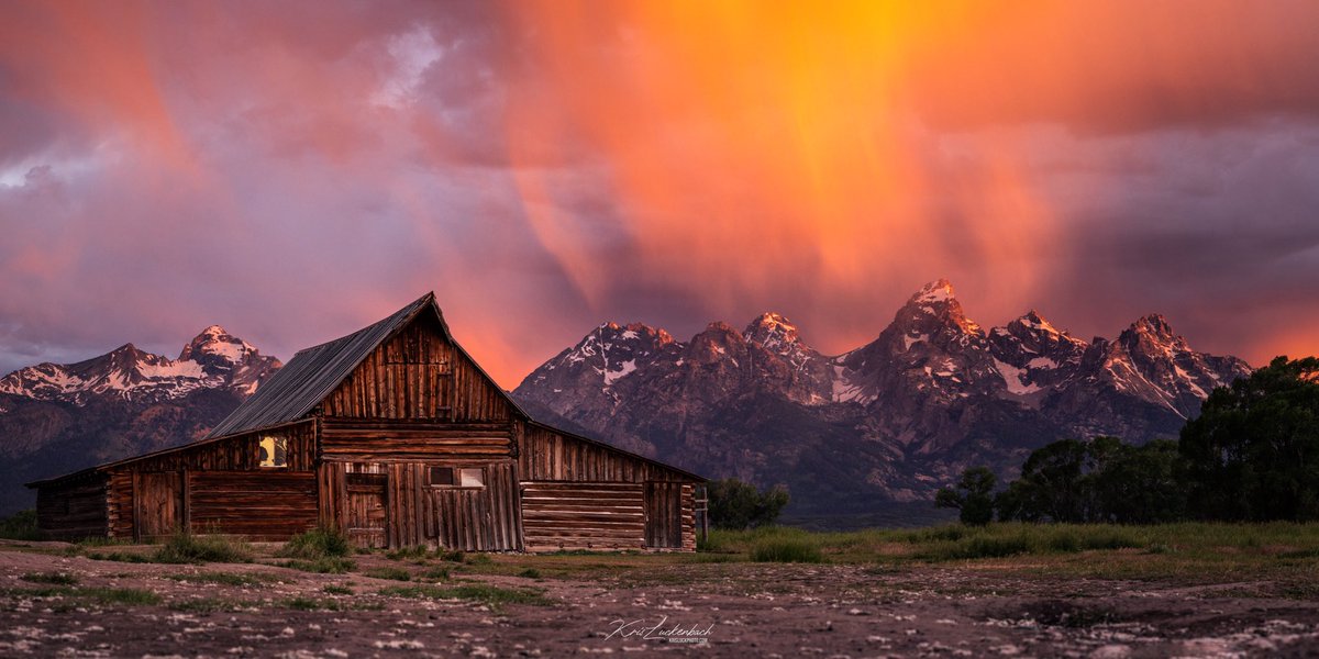KrisLuckPhoto's tweet image. Social media is wild, came back to x/twitter and 48 hours later some amazing people liked my work and reached over 5 million people. I can now get paid on here somehow. I love wildlife but also love everything nature has to offer! Ask me anything and I’ll try to help you!