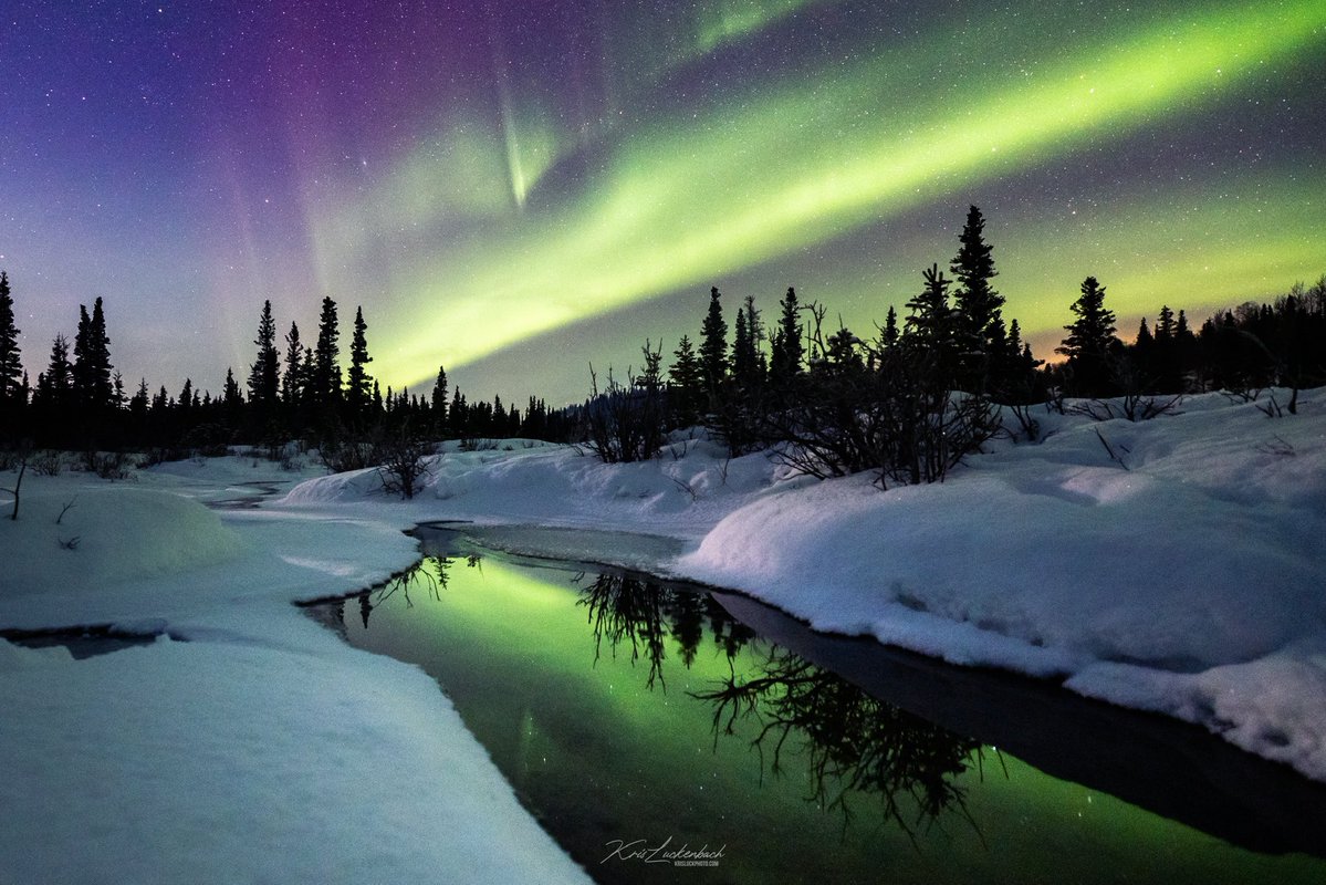 KrisLuckPhoto's tweet image. Social media is wild, came back to x/twitter and 48 hours later some amazing people liked my work and reached over 5 million people. I can now get paid on here somehow. I love wildlife but also love everything nature has to offer! Ask me anything and I’ll try to help you!