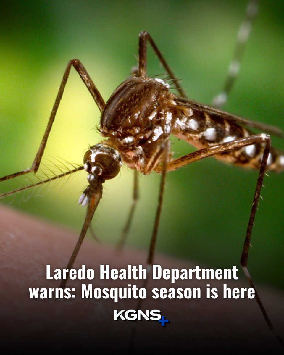 KGNSnews's tweet image. 🦟 Summer means mosquitoes — and risks. Here’s what the Laredo Health Department wants you to know to stay protected: kgns.tv/2025/07/23/lar…