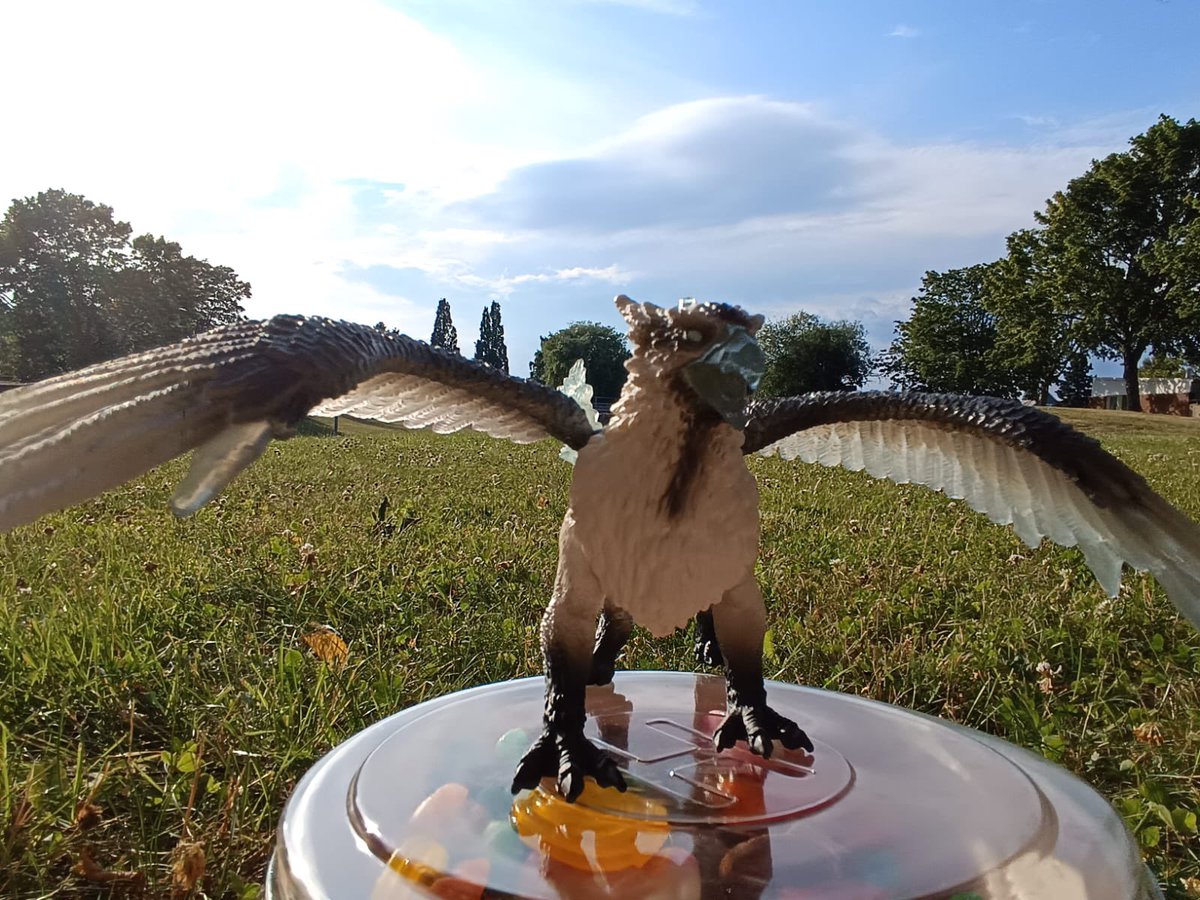 KEM0KI's tweet image. got a cool ice griffin