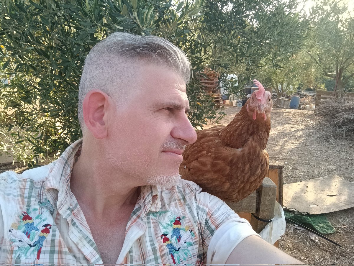 kafros2016's tweet image. Καλησπέρα και από εμάς από το ταψί 😎🙏