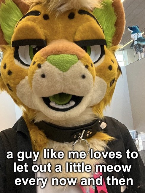 ✨June✨🔜FWA (@parduspaws) on Twitter photo 