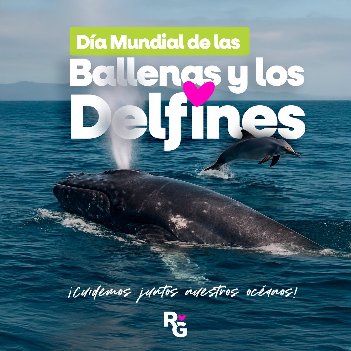 RuthGonzalezMx's tweet image. 🌊🐬 Hoy es el Día Mundial de las Ballenas y los Delfines.
Además de admirarlos, tenemos la responsabilidad de protegerlos. Gracias a la Ley Mincho del @partidoverdemex, en México ya no pueden usarse animales marinos en espectáculos. 💚

La vida marina no es entretenimiento, es…