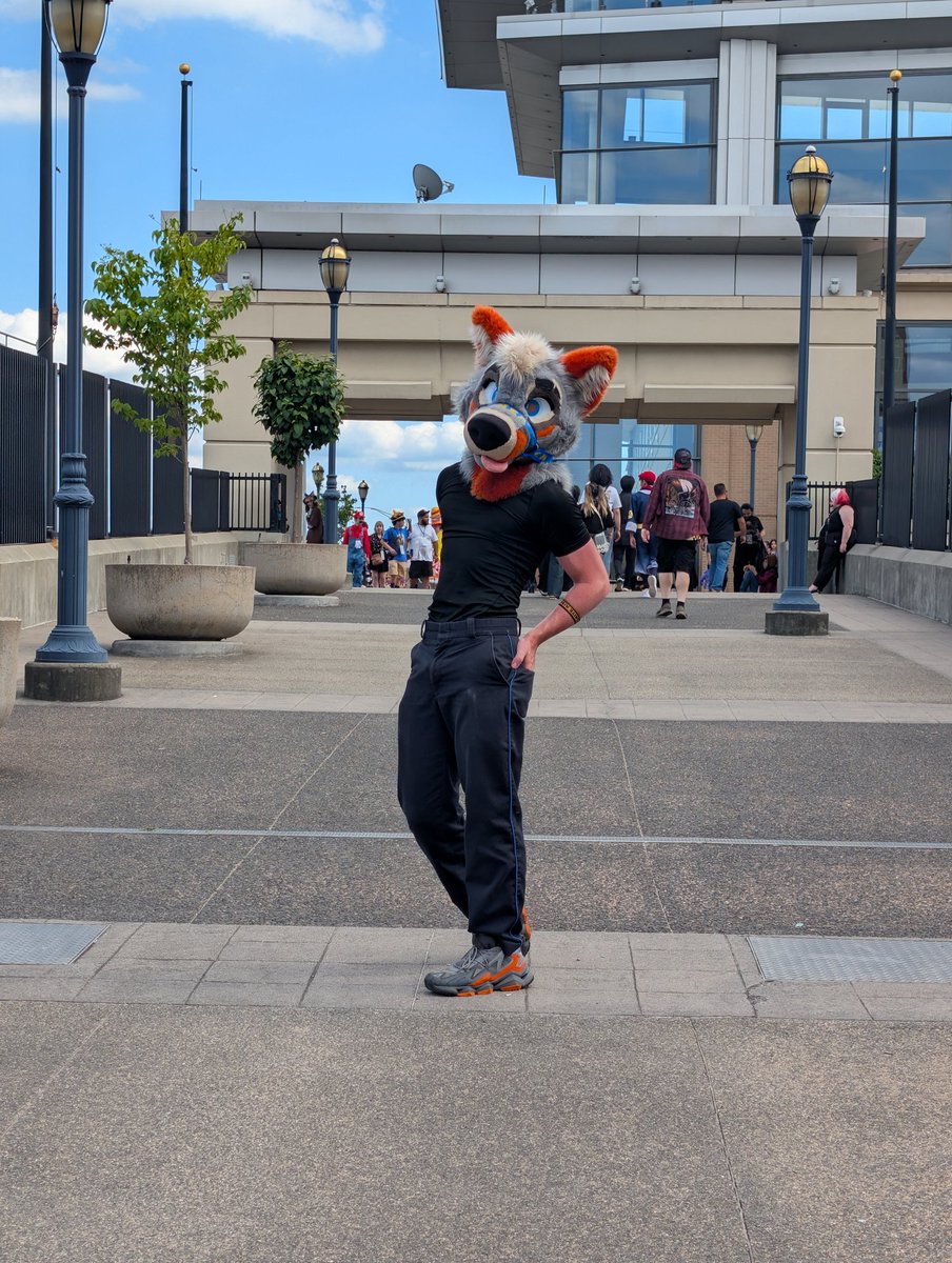 PartDoggo's tweet image. Watch out, he bites 🐶