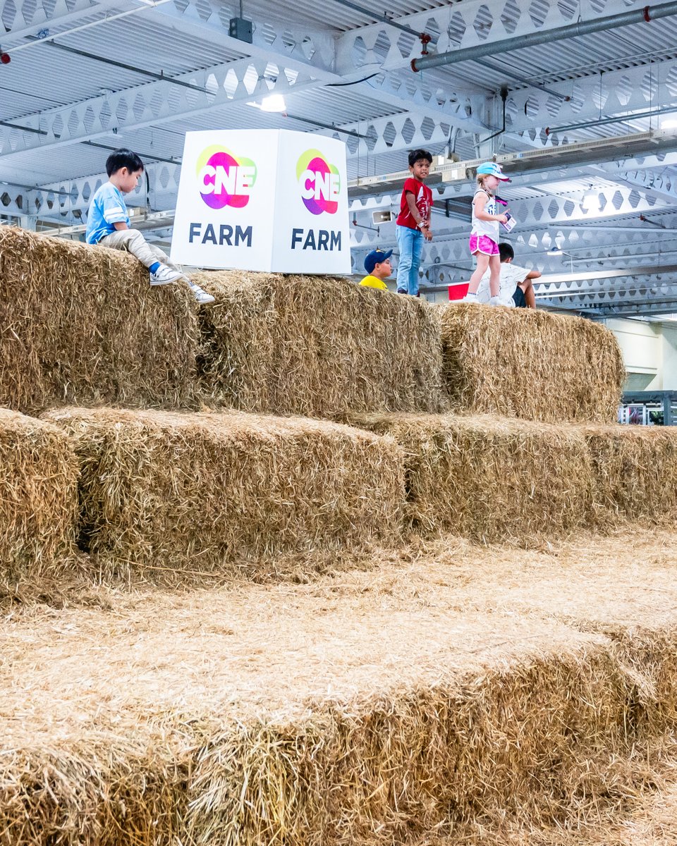 Agriculture Adventures is NOW OPEN! 🎉

Join us at the Better Living Centre from July 23 to Aug 1, 11AM–2PM, for a FREE experience the whole family will love - presented by the CNE Farm!

Please note: Reservations must be made by groups 10+.

Learn more: ow.ly/RZgi50Wu8WJ
