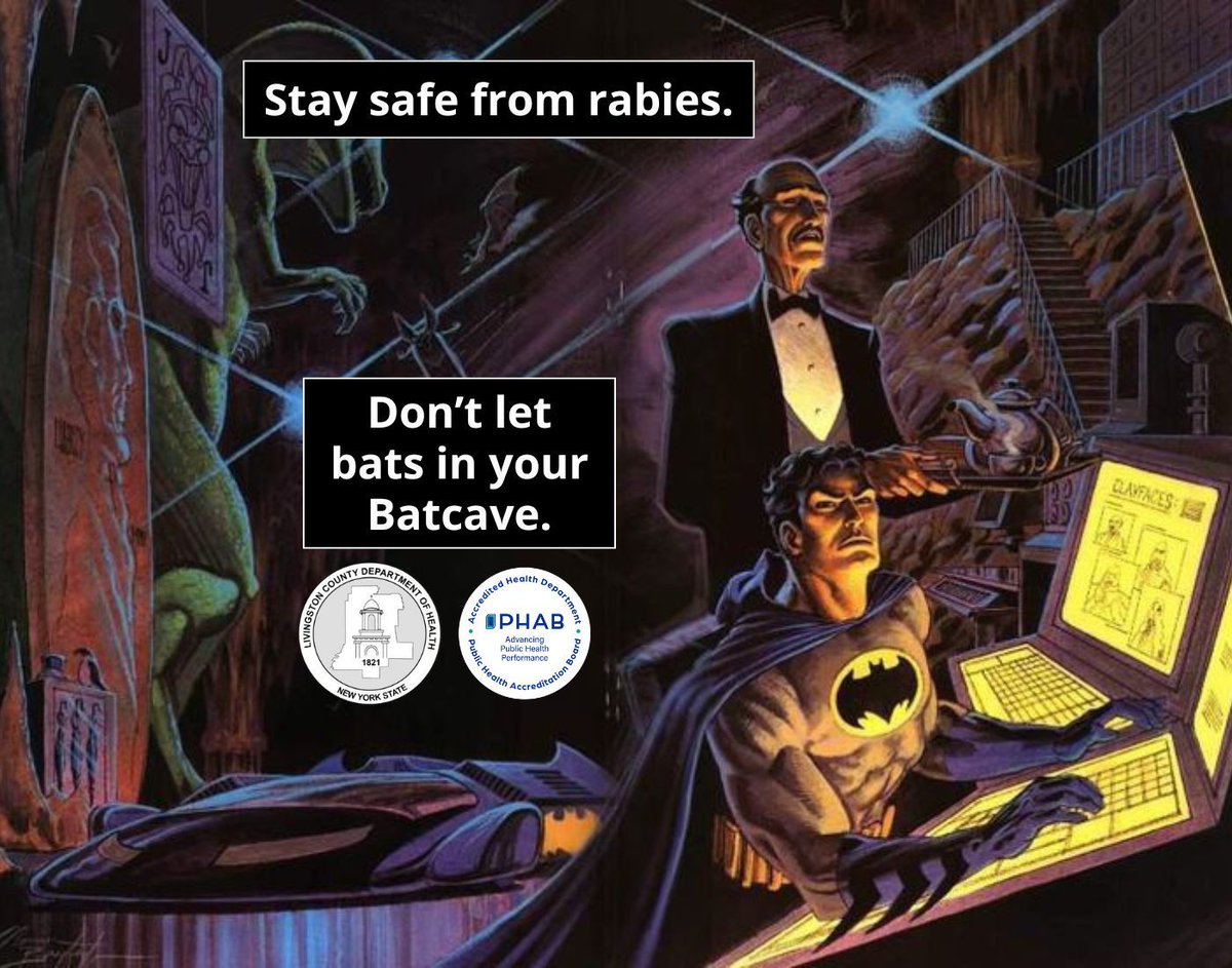 Check your home for small openings that could let a bat in! Attics, chimneys, and holes as small as 1/4 inch wide can be entryways for bats. If a bat does get in your home, follow these steps to keep yourself safe from rabies exposure: buff.ly/SCbtuHF