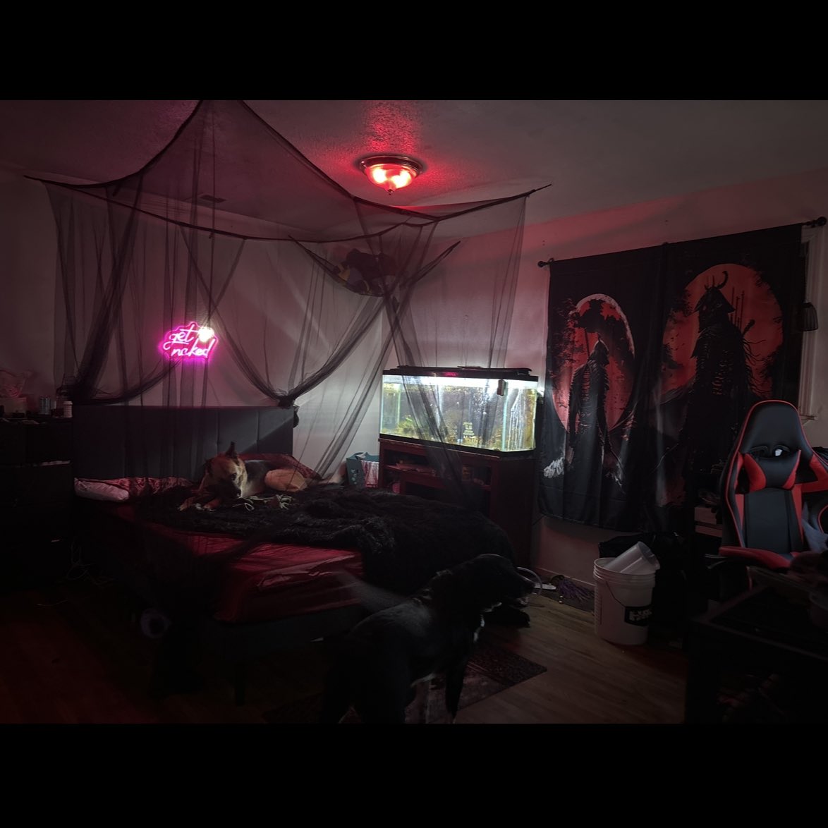 ShepardValith's tweet image. Yall fuck with the room? Don’t mind my son and his boyfriend, they didn’t want get out of the picture.