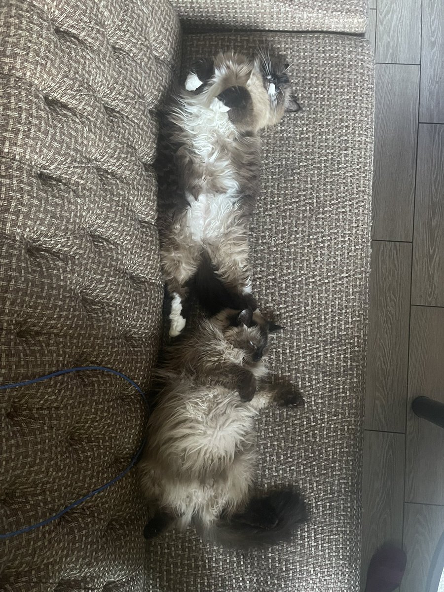 Жарко куколкам(