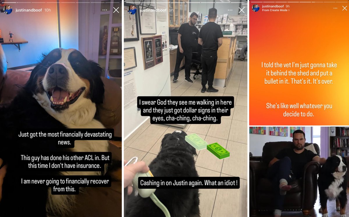 Rabbid antisemite Justin Mongiardo from Vancouver claims he will be putting a bullet in his dog's head due to not wanting to pay for his pet's surgery <a href="/BC_SPCA/">BC SPCA / BCSPCA</a> <a href="/VanHumane/">Vancouver Humane Society</a> 

Justin Mongiardo should not be allowed to have any pets in his possession.

Currently going under the
