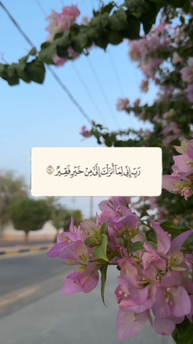 nsns200 om munira tweet media