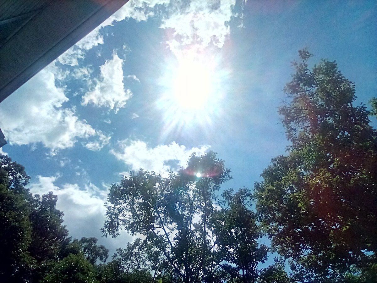 HopeBarbaraAnne's tweet image. Sitting with the sun and chatting with the Iichen on the trees. 💚