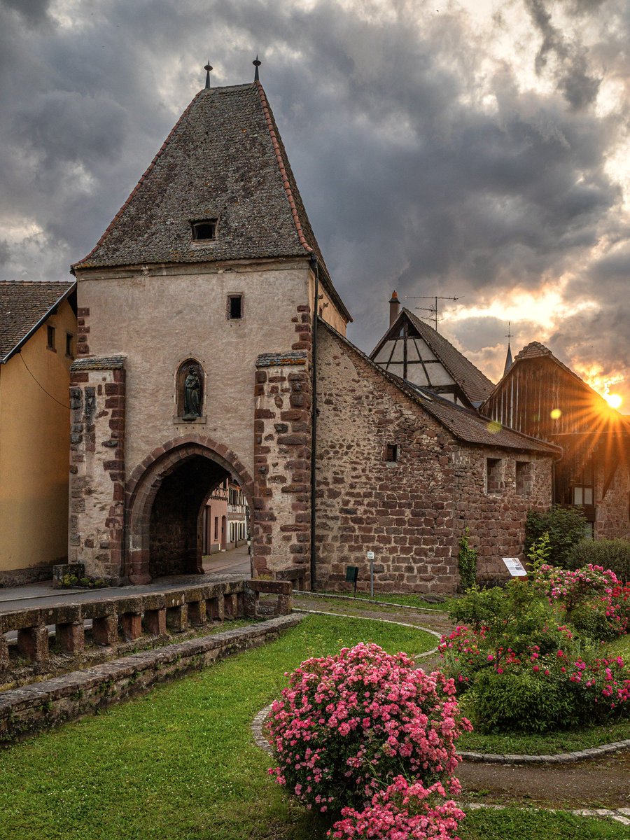 CedricSchell's tweet image. Boersch en Alsace.
