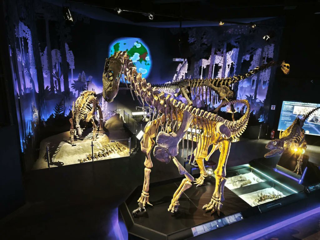 FDinosaurios's tweet image. Reconstruyen el cerebro de un dinosaurio patagónico (vía @mefpatagonia #PapersinPalaeontology)
El estudio revela claves sobre la evolución del sistema nervioso en los primeros saurópodos.
n9.cl/aikav4