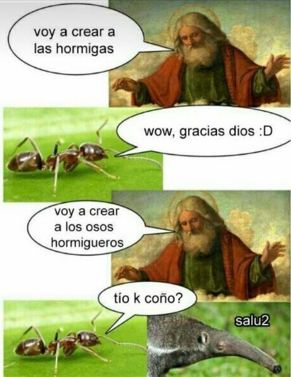 Ana_LaPatata (@ymuchosmemes) on Twitter photo 