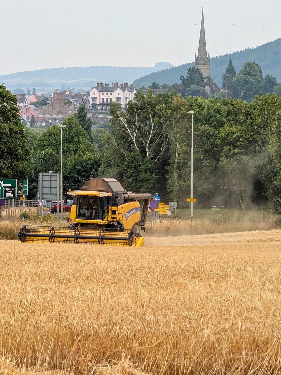 Wyefarm's tweet image. Ross-on-Wye 🤝🏻 Harvest 2025.
Not a patch on last year's photo but not a terrible effort!
