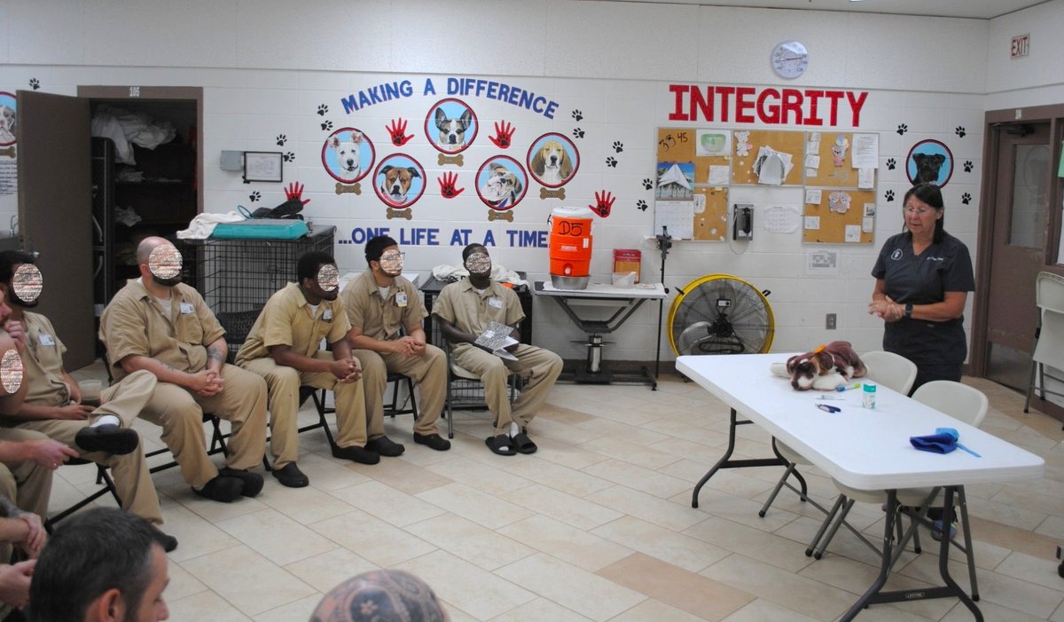 distevhass31's tweet image. Group 46 - Basic Animal Health Class with Dr. Kenney - Union County Pet Hospital @GA_Corrections @GAFirstLady @CLALeadership @jeffbreedlove1 @Recovery_GC4R @endthewhisper @JellyRoll615