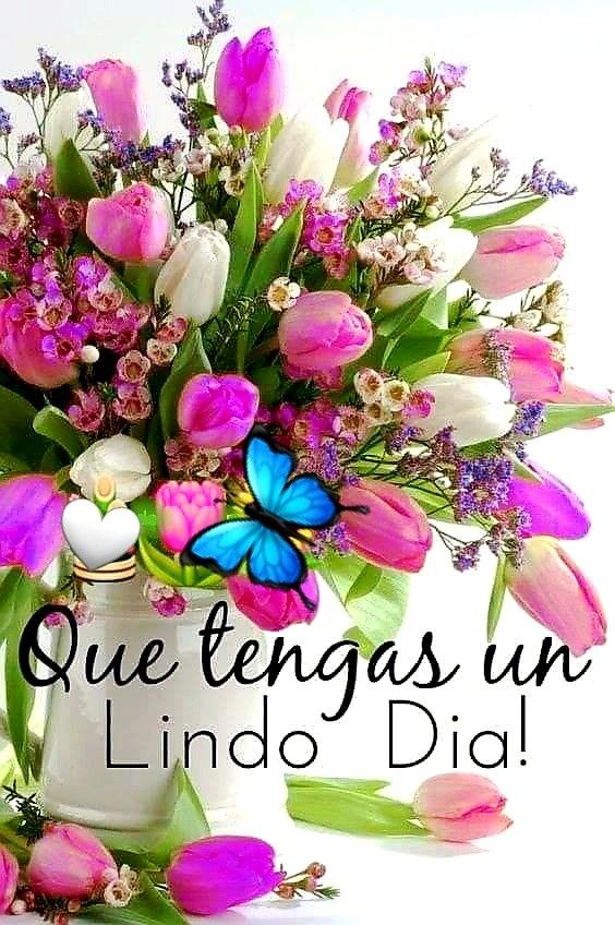 Virginia Cruz (@cruzamaranta) on Twitter photo <a href="/hula_gonna/">Hula Gona</a> <a href="/4T_Mexico_/">Manolo Obradorista por Siempre ¡VIVA MÉXICO!</a> <a href="/EYACAR65/">EYA</a> <a href="/Martinsantome57/">GRACIAS A AMLO POR CONVERTIRME EN OBRADORISTA!!!</a> <a href="/MariaEl95097388/">Mariel</a> <a href="/GonzlezRa12/">Luis#RedEsSheinbaum 👊🇲🇽 #DeZurdaTeam 🇨🇺🇵🇸🇷</a> <a href="/guilbert_ga/">Guilbert 🇲🇽🍉</a> <a href="/rociomag3/">ROSQUI MARÍA</a> <a href="/Kadaffyn/">CKadaffy</a> <a href="/DULCEPOLY11/">DULCE POLY</a> <a href="/BeanaNova/">gregorio beaña nova</a> <a href="/garadidele/">Pavaroti</a> <a href="/gualelli/">Judith Martínez</a> <a href="/salgado_VIII/">David xx</a> <a href="/QuinquePolitico/">Isabel /El Quinqué Político 🪔</a> <a href="/MarcosDelado/">marcos</a> <a href="/analuna74/">AnaLuna✍️ Morena de ❤️ y piel</a> <a href="/AliciaDeToma2/">Alicia De Toma,te sigue</a> <a href="/slechugavega/">Samuel Lechuga🇲🇽🇨🇭</a> <a href="/Barmilcar/">AMILCAR PARTIDA *EL PADRINO*</a> Mi querido amigo es un placer y una suerte saber de tí, gracias por pasar a saludar, cuídate mucho. <a href="/hula_gonna/">Hula Gona</a> <a href="/4T_Mexico_/">Manolo Obradorista por Siempre ¡VIVA MÉXICO!</a> <a href="/EYACAR65/">EYA</a> <a href="/Martinsantome57/">GRACIAS A AMLO POR CONVERTIRME EN OBRADORISTA!!!</a> <a href="/MariaEl95097388/">Mariel</a> <a href="/GonzlezRa12/">Luis#RedEsSheinbaum 👊🇲🇽 #DeZurdaTeam 🇨🇺🇵🇸🇷</a> <a href="/guilbert_ga/">Guilbert 🇲🇽🍉</a> <a href="/rociomag3/">ROSQUI MARÍA</a> <a href="/Kadaffyn/">CKadaffy</a> <a href="/DULCEPOLY11/">DULCE POLY</a> <a href="/BeanaNova/">gregorio beaña nova</a> <a href="/garadidele/">Pavaroti</a> <a href="/gualelli/">Judith Martínez</a> <a href="/salgado_VIII/">David xx</a> <a href="/QuinquePolitico/">Isabel /El Quinqué Político 🪔</a> <a href="/MarcosDelado/">marcos</a> <a href="/analuna74/">AnaLuna✍️ Morena de ❤️ y piel</a> <a href="/AliciaDeToma2/">Alicia De Toma,te sigue</a> <a href="/slechugavega/">Samuel Lechuga🇲🇽🇨🇭</a> <a href="/Barmilcar/">AMILCAR PARTIDA *EL PADRINO*</a> Mi querido amigo es un placer y una suerte saber de tí, gracias por pasar a saludar, cuídate mucho.
