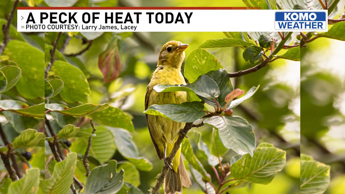 GWaldenWeather's tweet image. I love seeing these shots across our beautiful state every morning...please, keep sharing those photos! #WAWX