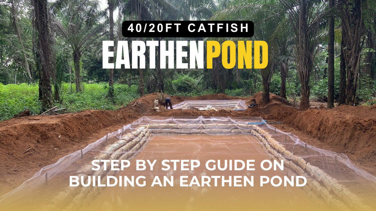 Farmer👩‍🌾 Kenneth (@farm_enterprise) on Twitter photo 