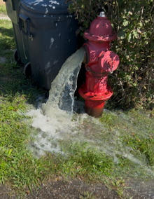 BSteinbachWTOV9's tweet image. Coming up on News 9
The latest on the water situation in Cadiz as many of the communities fire hydrants were flushed today. Details @WTOV9