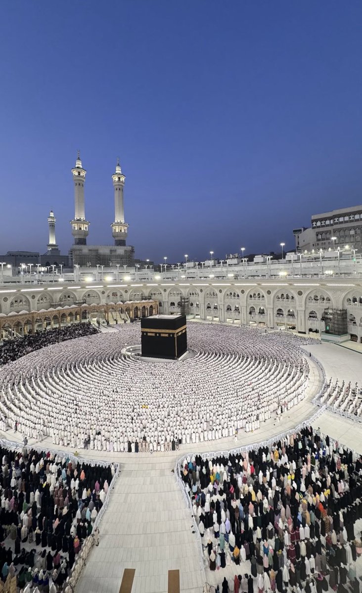 The Holy Mosques (@theholymosques) on Twitter photo 