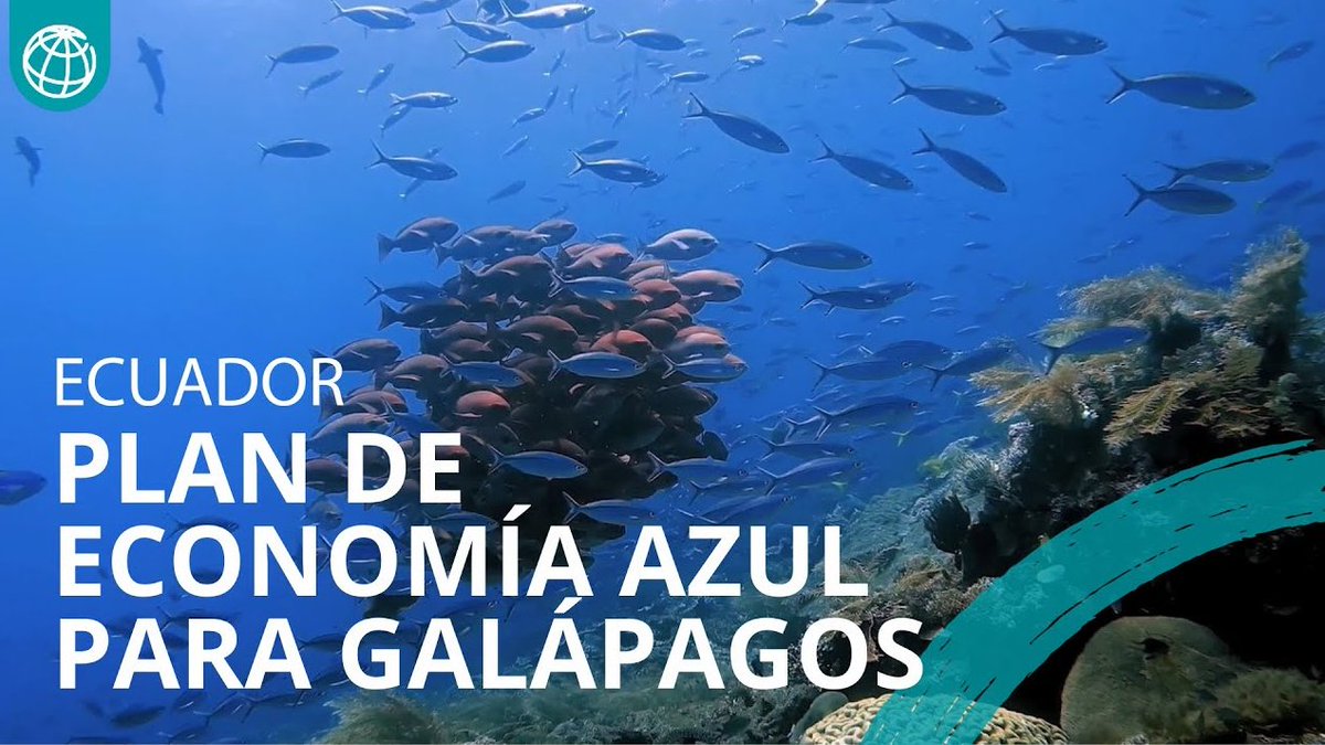 BorisWeber's tweet image. 🌊 Galápagos: ejemplo global de economía azul sostenible.
El Plan Estratégico de Economía Azul 2025–2040 impulsa un modelo de desarrollo que protege la biodiversidad y fortalece a las comunidades locales.
👩💻 Descubre los ejes estratégicos del plan 🐟
gobiernogalapagos.gob.ec/wp-content/upl…