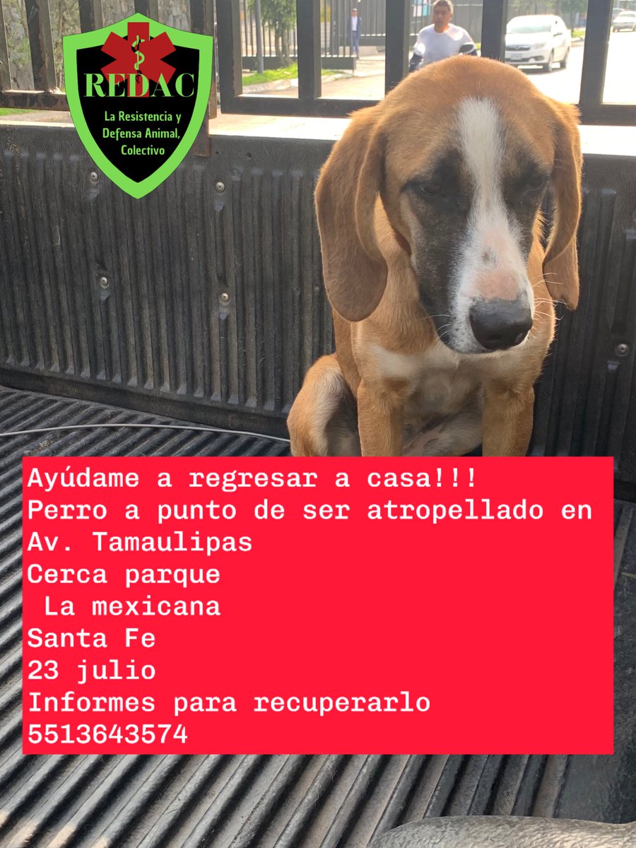 Buscamos a sus tutores Tíene miedo, Correccion es NIÑA