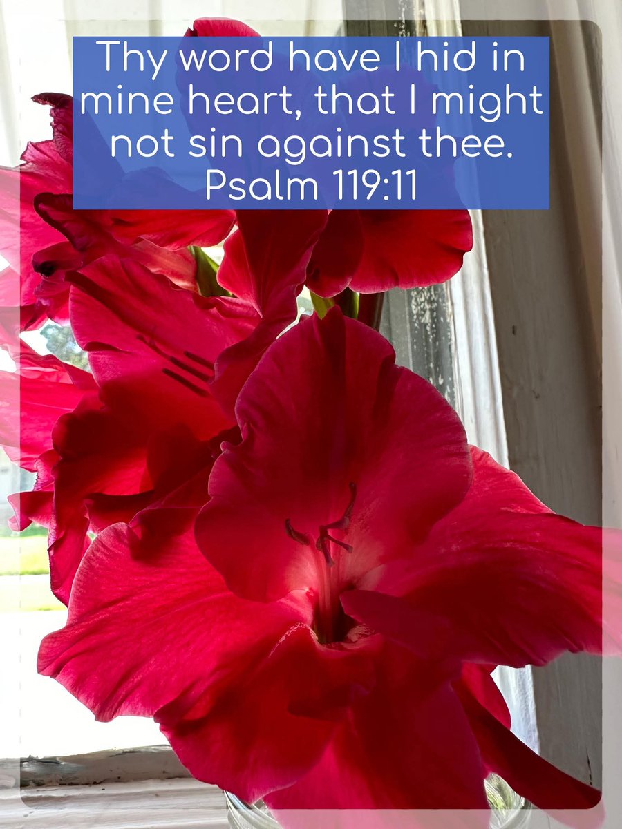 Stewart7Donna's tweet image. Blessed are they who keep his testimonies and that seek him with the whole heart. Ps119:2