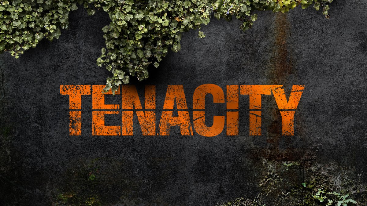 TheDivisionGame's tweet image. A new episode is available! This week join Bradley and Anna Maria Bounds to discuss about the evolution of prepping!
Listen here: linktr.ee/Tenacity_Podca…
Also available on @PlayMorePods and @amazonmusic!